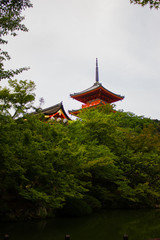 Obraz premium big temple site in japan