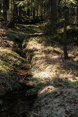 historical Schwarzenberg canal transportatino water way  in Sumava wood
