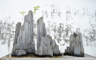Miniature mountain landscape (bonsai)