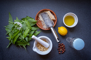 Ingredients for making wild garlic pesto - wild garlic leaves, pine nuts, hazelnuts, lemon juice, olive oil, parmesan cheese