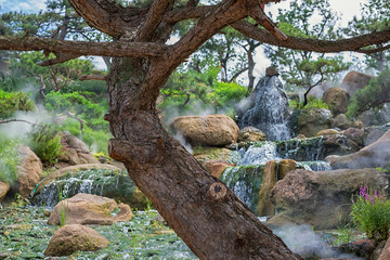 Typical Chinese nature scene - pine trees, rocks and water