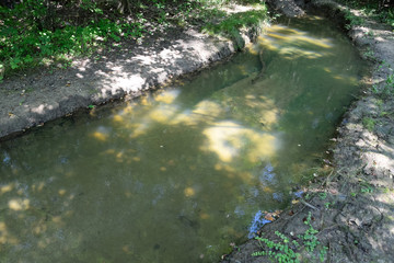 Dirty blurred forest road with deep rut.