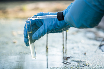 Pond water pollution concept. Scientist takes samples of dirty water from a pond into a test tube.