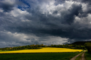 Valle de Losa (Burgos)