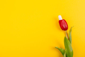 Women's sanitary tampon for special days with a red tulip flower on a yellow background with place...