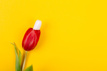 Women's sanitary tampon for special days with a red tulip flower on a yellow background with place...