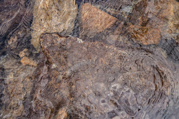 Stones at the bottom of a mountain river with clear water. Creative vintage background.