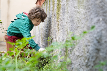 Naklejka na ściany i meble An eight-year-old boy helps parents care for the backyard garden during the coronavirus lockdown period. Concept of activities for quarantined children to do.