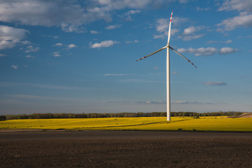 Pejzaż  w wiosenne popołudnie. © Tomasz