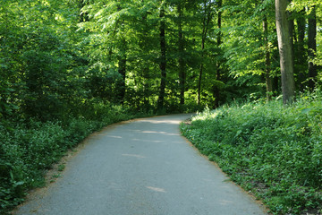 Obraz premium Forststraße