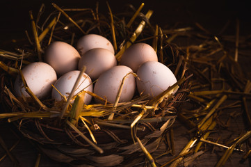 Auf Stroh gebettet 01