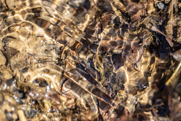 The sandy bottom of the stream through the waves of water