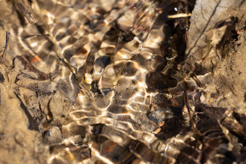 The sandy bottom of the stream through the waves of water