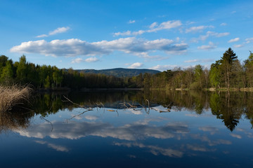 reflection of trees in the lake