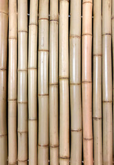 Naklejka premium bamboo