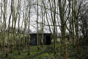 retreat to the woods