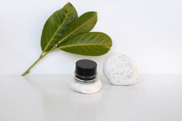 lip gloss in a black jar lies on a white stone, a background with vibrant green leaves, make-up,...