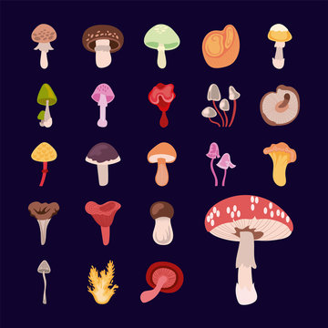 bundle of fungus set icons