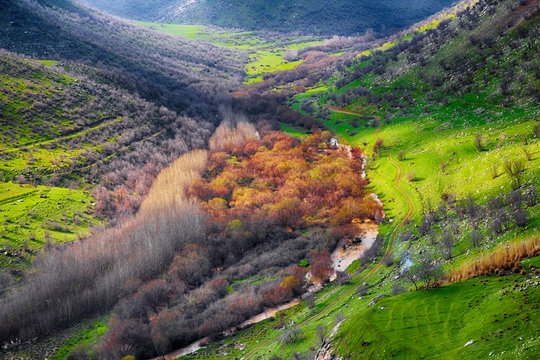 Delezha photo in fall