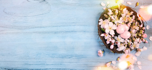 Easter background with bird case and spring flowers