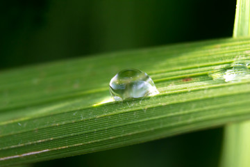 drop of water