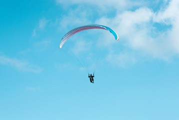 Naklejka na ściany i meble paraglider in the sky