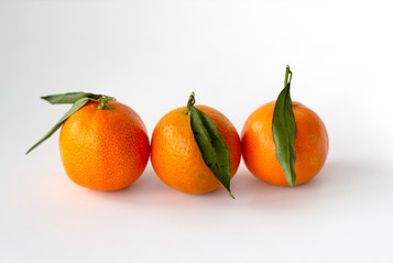 Three tangerines with green leaves on a white background.