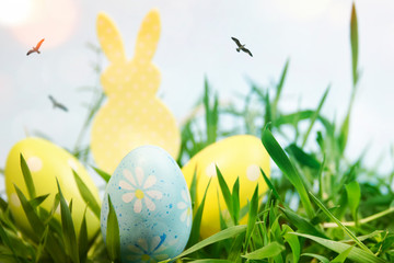 Fototapeta premium colorfully painted Easter eggs