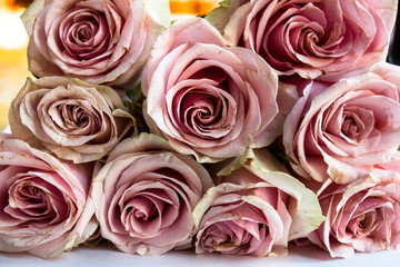 Bouquet of light pink roses