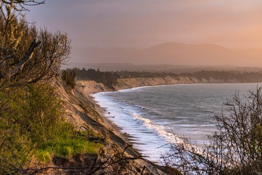 Sun lit beach in Washington State