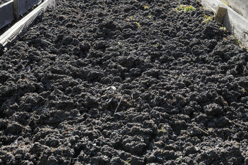 Dug up earth in the garden in spring for plants