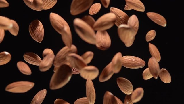 Burst of hazelnut on the camera on a black background. Slow Motion 500fps