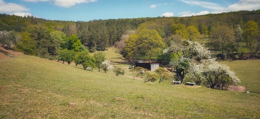 autumn landscape in the mountains
