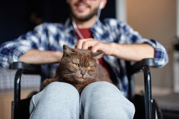 Disabled man rehabilitation at home with cat