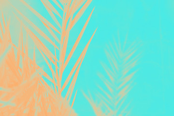 Orange date palm leaves on aquamarine color background