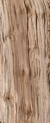 The texture of the wood grain slice of a tree trunk, firewood and lumber from stone - 343238004