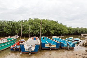 Fototapeta na wymiar Muelle manglar en Huaquillas Ecuador lancha para pesca artesanal a motor 