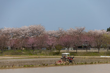 田んぼ始まる！