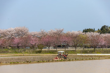 田んぼ始まる！