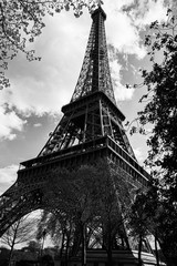 La Torre Eiffel de París, The Eiffel Tower from Paris