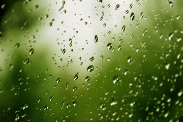 Fototapeta Krople deszczu na szybie na tle zielonych drzew  obraz