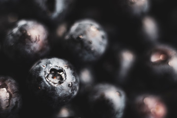Blueberries macro fruit healthy berry antioxidant