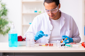 Young male nutrition expert testing food products in lab