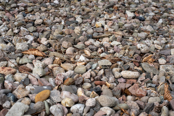 stones laying on the ground