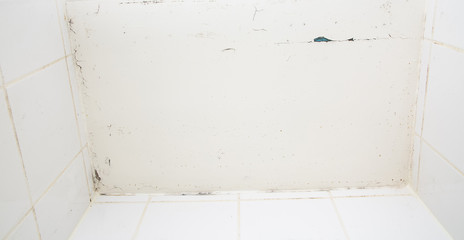 Mold or fungus of the wall in the Shower room causing black or brown mold in the bathroom or toilet room caused by the hot water and accumulation of bacteria.