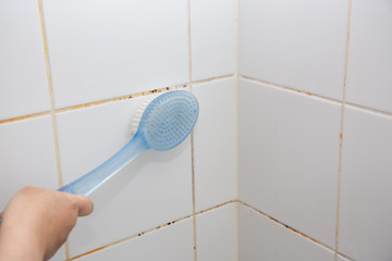 Mold or fungus of the wall in the Shower room causing black or brown mold in the bathroom or toilet...