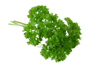 fresh parsley isolated on white