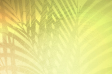 Fototapeta premium Light and shadow green leaves,palm leaf on colorful grunge wall concrete background.Silhouette flat lay abstract tropical leaf natural pattern summer texture with copy space.Soft image backdrop.