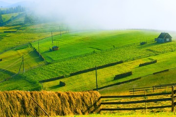 foggy rural landscape, breathtaking morning view on slopes of Carpathian mountains at morning...