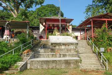 Wei Tuo Fa Gong Buddhist Temple on Tropical Pulau Ubin Island, Singapore    